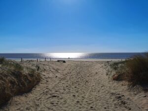 plage guérinière