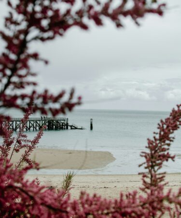 Noirmoutier automne