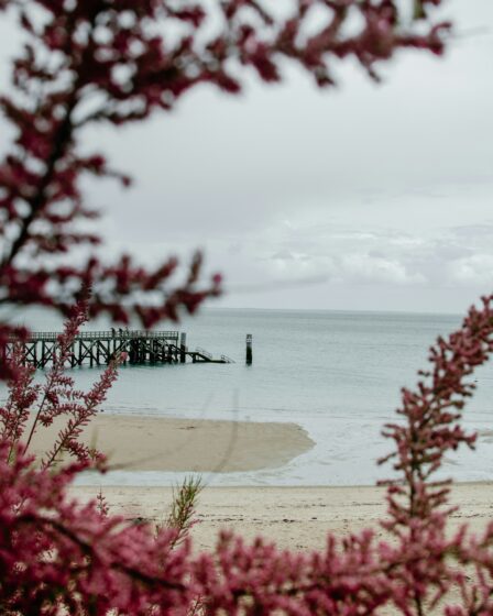 Noirmoutier automne