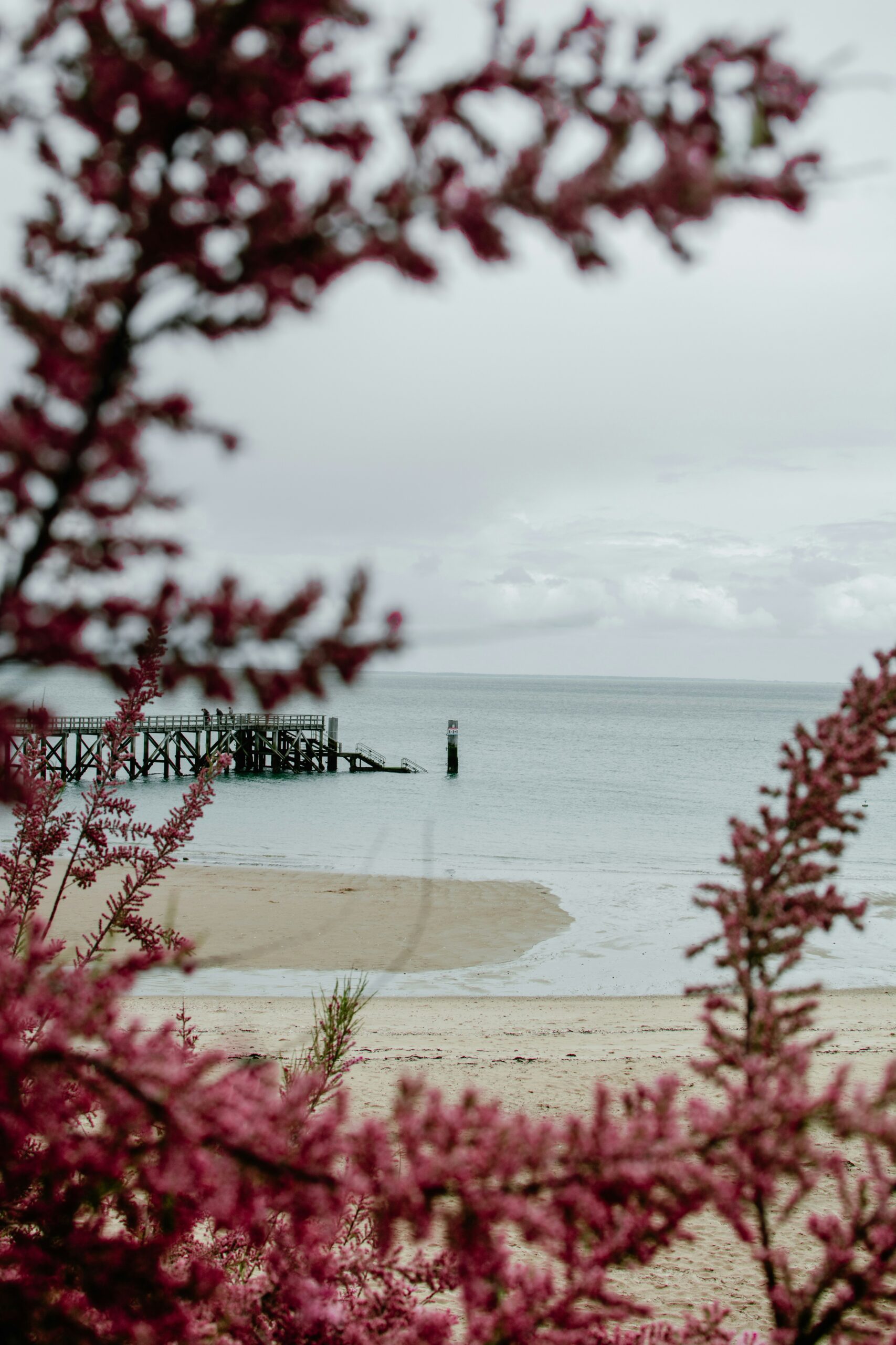 Noirmoutier automne