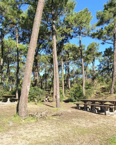 aire pique nique noirmoutier