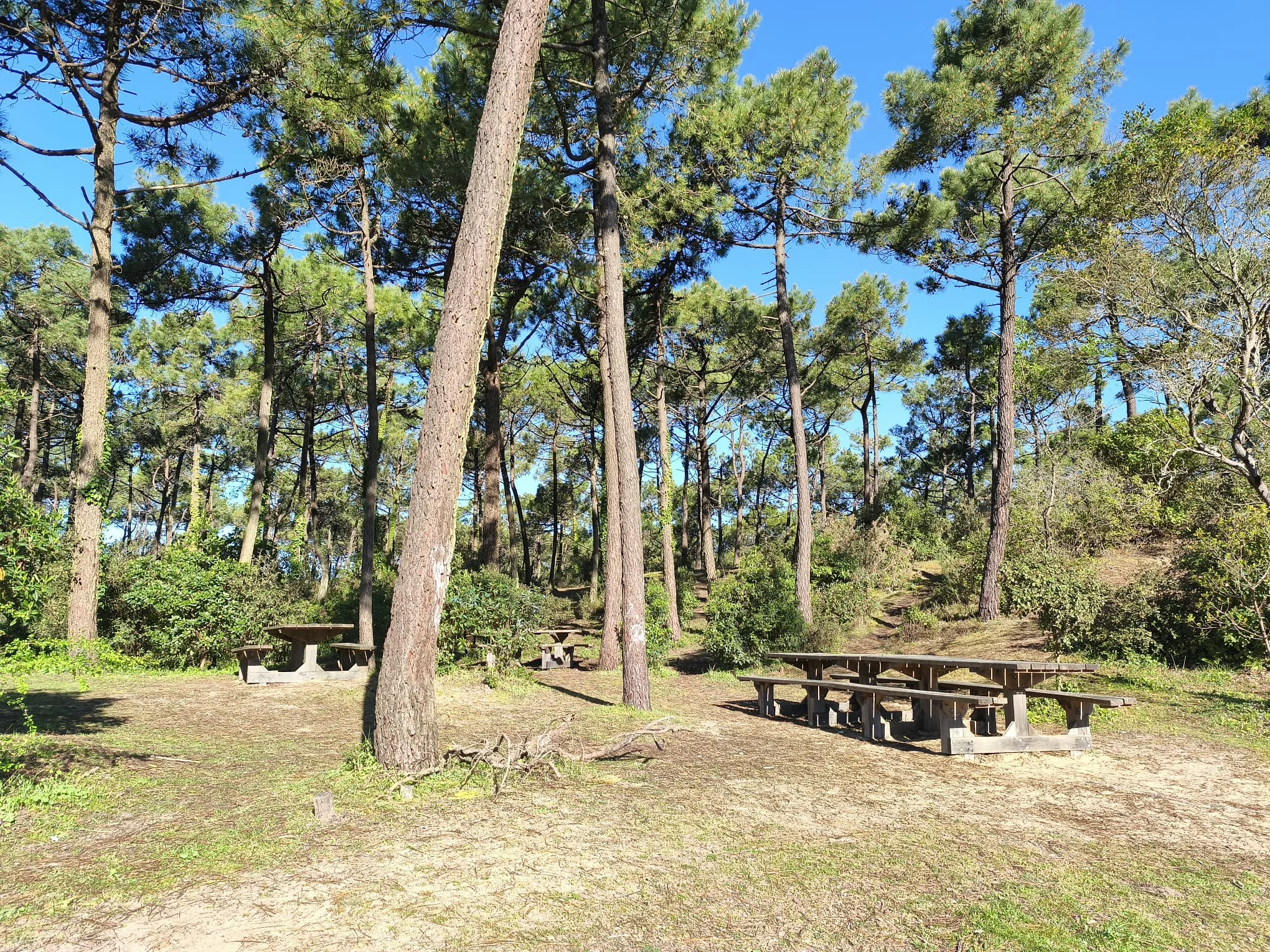 aire pique nique noirmoutier